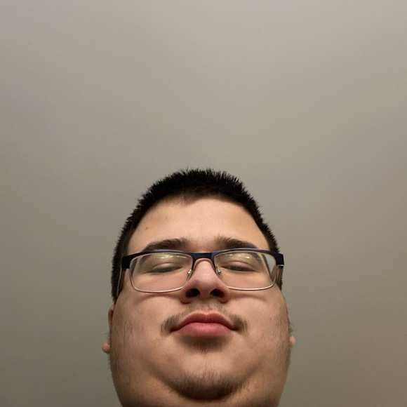 Meet your Posher, Riley - Picture 1 of 1